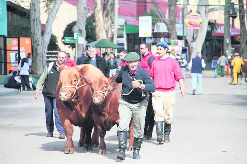Los organizadores de la edición 115 de la tradicional Rural del Prado destacan que esa muestra es a cielo abierto,? lo que reduce el riesgo de contagio de Covid