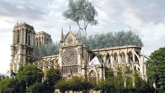 imagen de Un nuevo capítulo en la historia de Notre Dame imagen de Un nuevo capítulo en la historia de Notre Dame