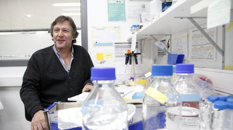imagen de Es una “lástima” que se venda cannabis “como medicina” cuando hay pocas “bases científicas” para recomendarlo