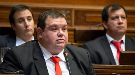 Diputado colorado, Walter Cervini. Foto: Parlamento