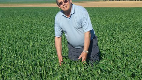 imagen de Agricultura enfrenta problemas de rentabilidad y busca alternativas para resolverlos en forma sustentable