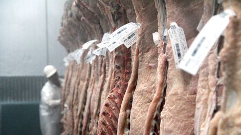 Un análisis académico analizó el impacto de las ventas de carne a China 