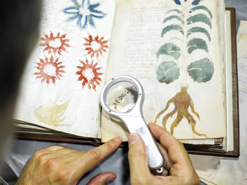 imagen de Gigantes, diminutos o encuadernados con piel humana: los libros más extraños del mundo
