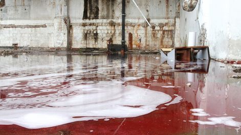 imagen de Empresa que opera en el PTI fue intimada por el Ministerio de Trabajo y 	el Banco de Seguros y denunciada en el BPS