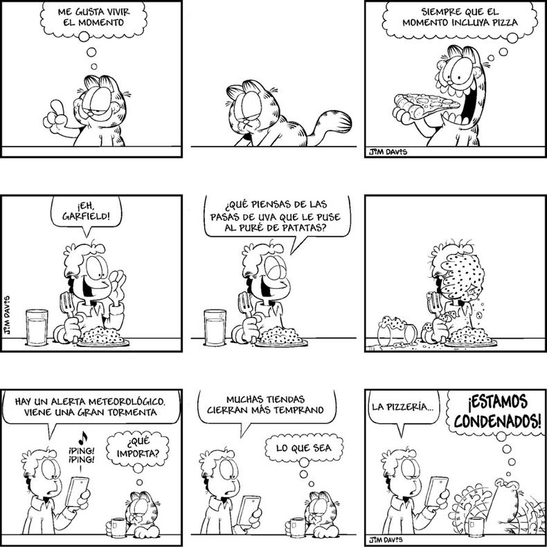 imagen de Garfield