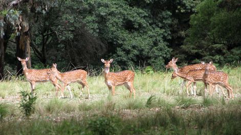Búsqueda | 66878.jpg