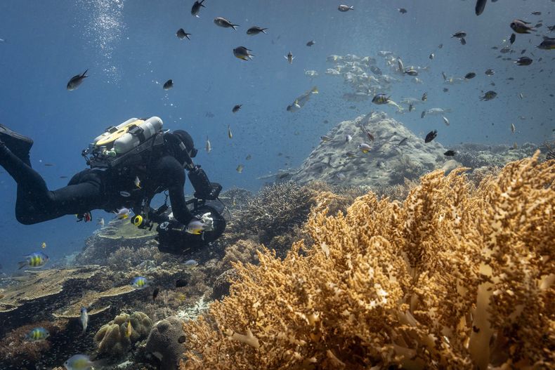 Ocean_DavidAttenborough.jpg