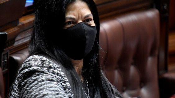 Elsa Capillera en la Cámara de Representantes del Palacio Legislativo. Foto: Javier Calvelo / adhocFOTOS Elsa Capillera en la Cámara de Representantes del Palacio Legislativo. Foto: Javier Calvelo / adhocFOTOS