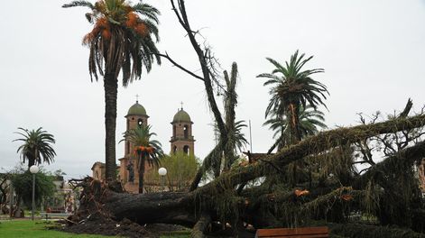 imagen de Millonario proyecto de información climática