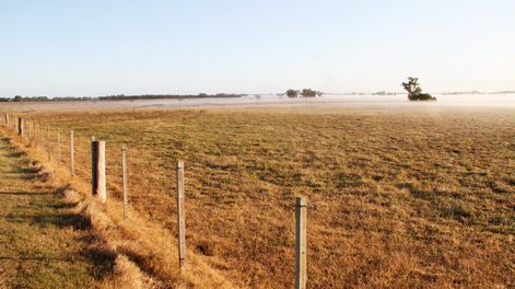 imagen de Varias colonias de tierras pasaron a llamarse Sendic, Seregni, Gutiérrez Ruiz y Julia Arévalo en los gobiernos del Frente Amplio