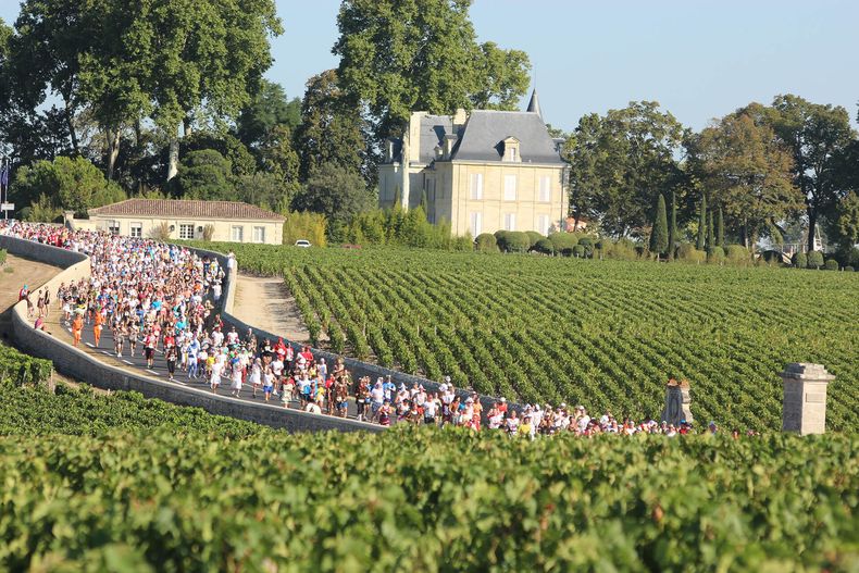 Vino Medoc