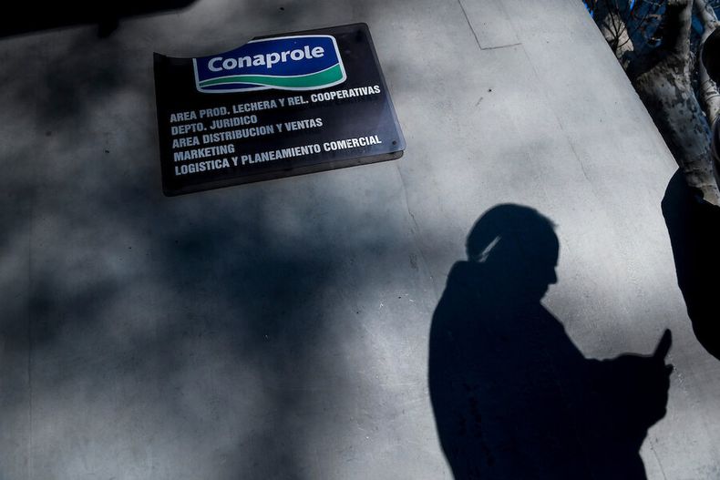 Conaprole. Foto: Javier Calvelo / adhocFOTOS