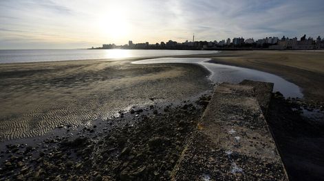 imagen de Hay bacterias resistentes a antibióticos en aguas de Montevideo
