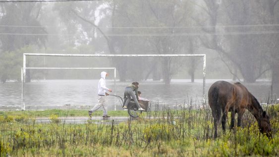 La mayor parte de la ciudadanía considera que la información sobre el cambio climático es escasa y poco confiable. Foto: Nicolás Garrido / Búsqueda