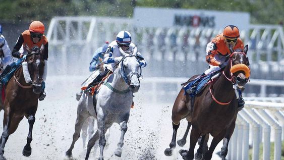 En 2025 hubo 1.127 carreras en el Hipódromo de Maroñas, y los caballos uruguayos ganaron 817 (72,5%), obteniendo US$ 9,616 millones en premios, 72% del total.