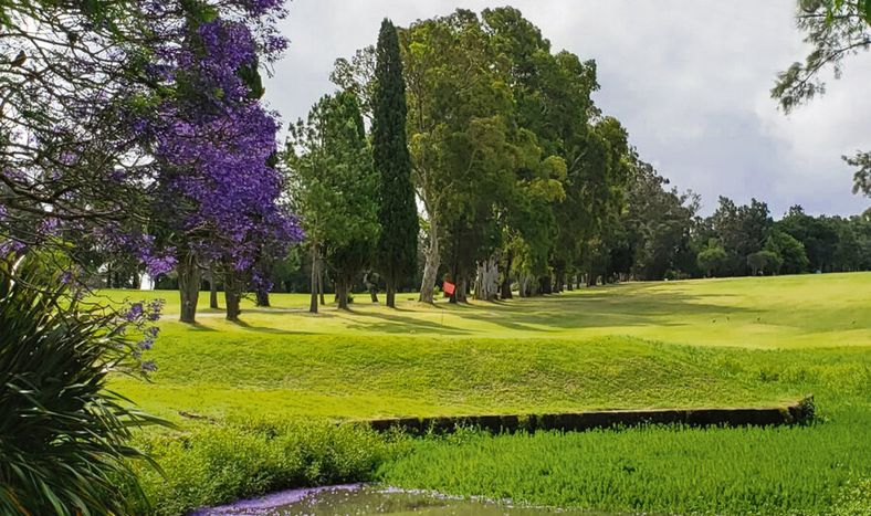 imagen de Intentando revitalizar el Club de Golf del Cerro, un ambicioso  proyecto busca convertirlo en la primera cancha pública del país