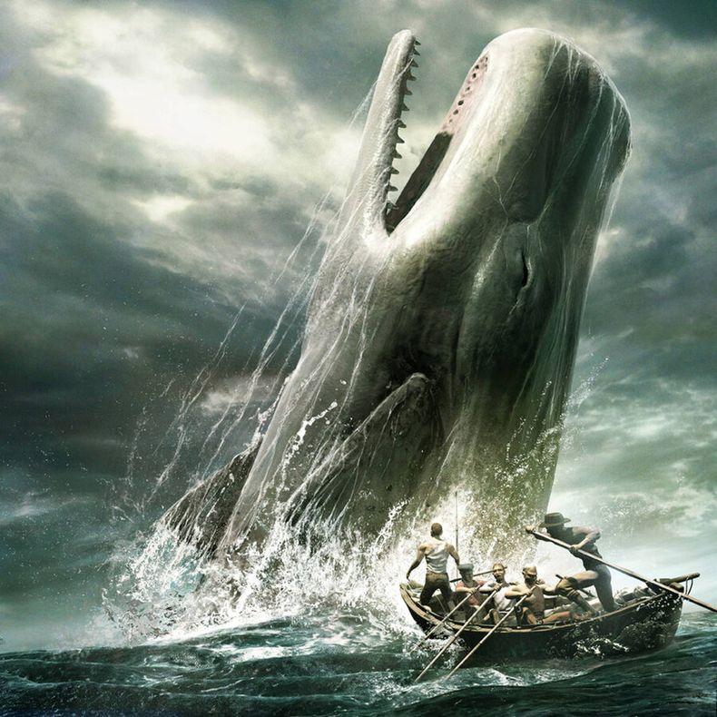 imagen de Todo el mar en un libro