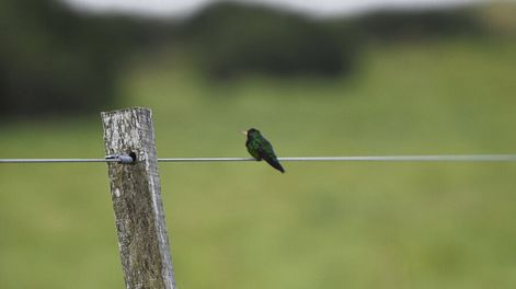 La actual administración del INC posibilitó que colonos arrendatarios puedan pasar a ser propietarios de los predios. Foto: Revista Verde