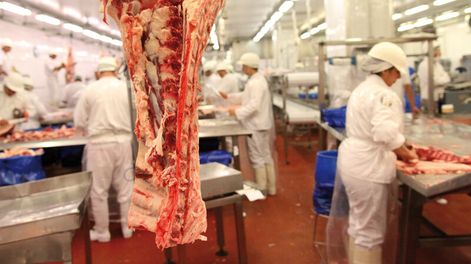 imagen de Productores ganaderos instan a investigar frigoríficos y se ofrecen para apoyar al gobierno en esa tarea