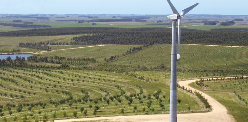 imagen de En un año “pobre” en inversión, proyecto del argentino Bulgheroni fue el más grande con exoneración fiscal