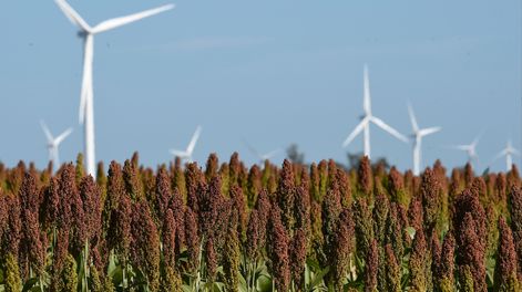 En 2024 la generación eléctrica fue 99% con fuentes renovables