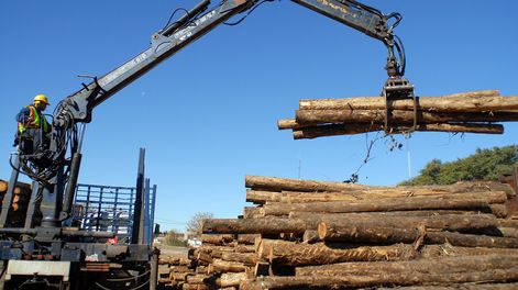 Foto: Ricardo Antúnez / adhocFOTOS