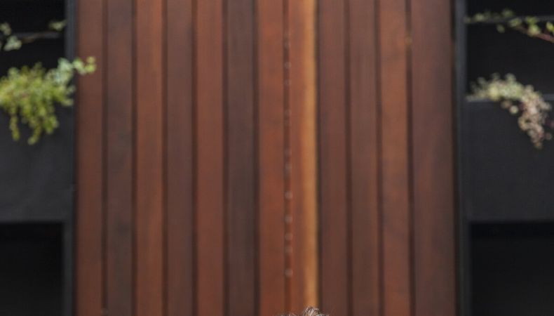 imagen de Mauricio Pizard: Como está la vieja de los gatos, yo soy la vieja de las plantas