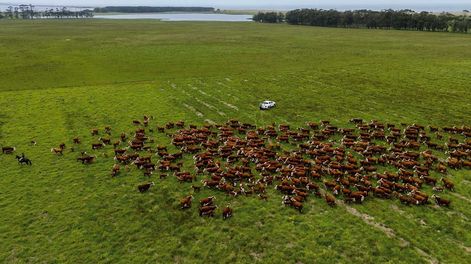 El monto de la recaudación de impuestos sobre la tierra durante este año es de $ 8.800 millones, unos $ 200 millones más que en 2023, informó Opypa