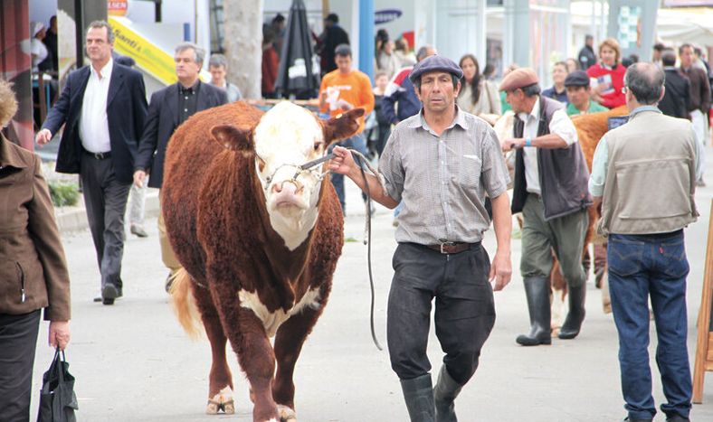 La Expo Prado y un territorio desigual en la vitrina