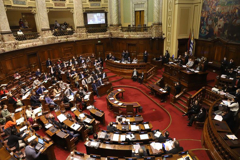 Seis diputados declaran patrimonio negativo. Foto: Nicolás Der Agopián / Búsqueda