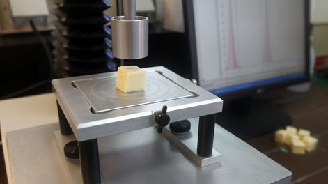 imagen de Latu creó nueva fundación para innovar; investiga en lácteos,  arroz, agua y forestal para enfrentar desafíos de la industria