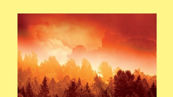 imagen de Largo viaje de regreso imagen de Largo viaje de regreso