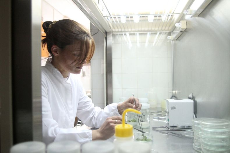 imagen de Academia y empresas “necesitan conciliar” para hacer biotecnología