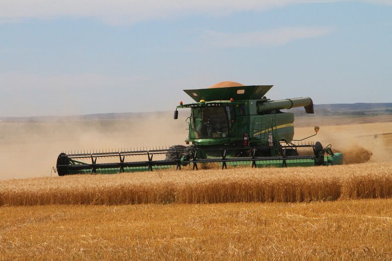 Las perspectivas para la agricultura son más optimistas de cara a la nueva zafra