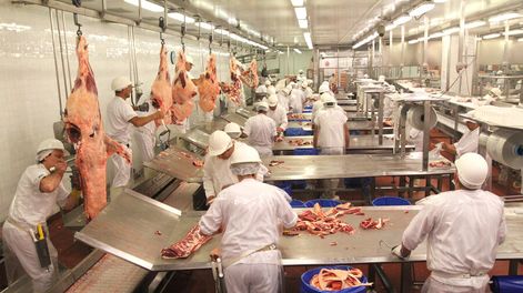 Una planta frigorífica. 