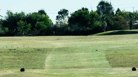imagen de Una charla con Tiger Woods