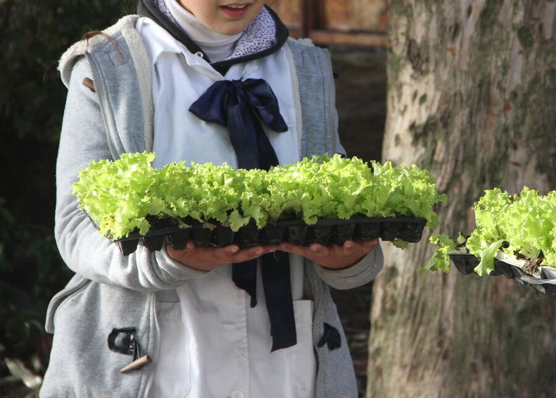 imagen de Primaria quiere que el desempeño de los alumnos en las  actividades extracurriculares se incluya en el carné de evaluación
