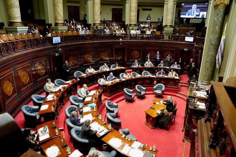 Cámara de Senadores durante la discusión del proyecto de ley que regula los ingresos a las intendencias, martes 14.