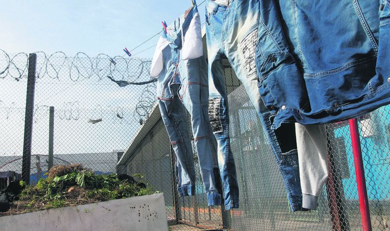 De Olivera planteó comprar un escáner para registro. Foto: Nicolás Der Agopián