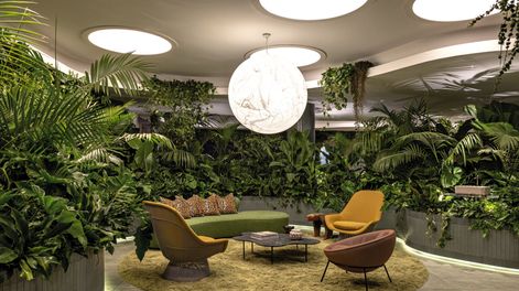 Búsqueda | 823462.jpg