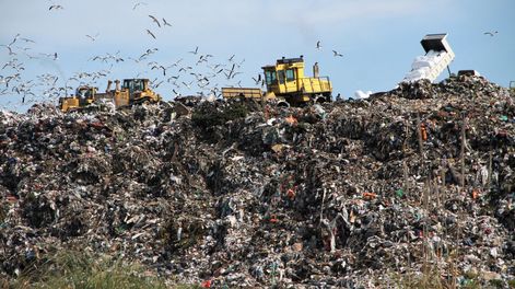 imagen de Los vertederos irregulares de basura están dominados por  “mafias” del narcotráfico, advierte jerarca de la Intendencia