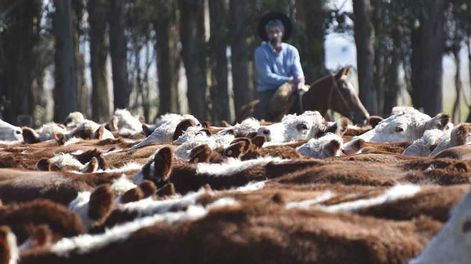 El formato electrónico de la declaración jurada de Dicose permite procesar los datos más rápido y minimizar errores