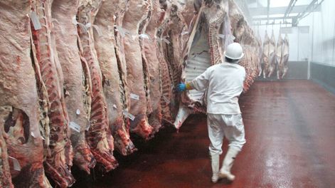 La carne uruguaya tiene escasa demanda y a precios inferiores en Europa. Foto: Nicolás Der Agopián