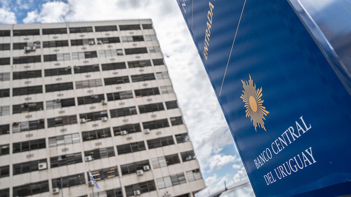 Graciela Sanroman: el Banco Central ve el endeudamiento como “un problema”, pero no prioritario