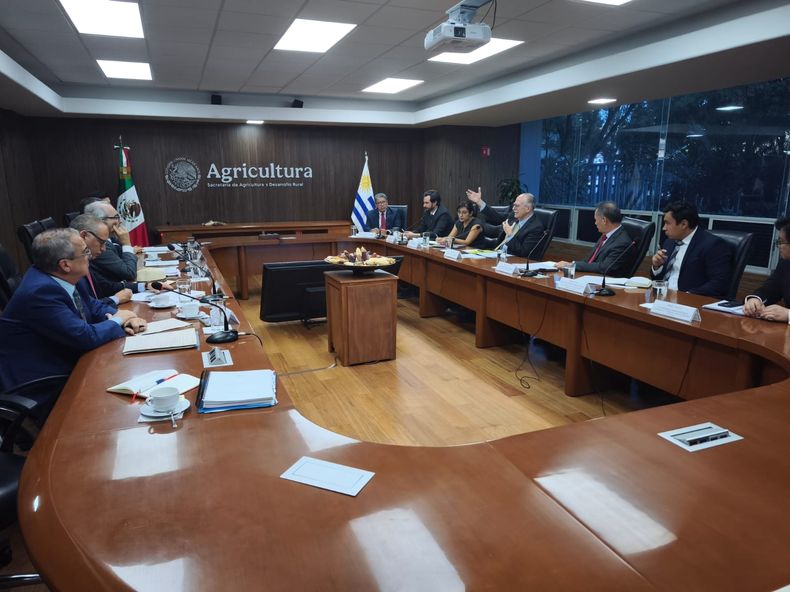 El ministro Alfredo Fratti y su equipo en la reunión con el secretario de Agricultura y Desarrollo Rural de México, Julio Berdegué, y sus colaboradores.