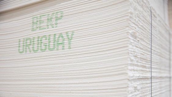 La puesta en funcionamiento de UPM 2 elevó la oferta mundial de celulosa. Foto: UPM La puesta en funcionamiento de UPM 2 elevó la oferta mundial de celulosa. Foto: UPM