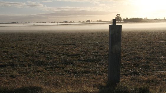 Un campo agropecuario. Foto: Nicolás Der Agopián / Búsqueda Un campo agropecuario. Foto: Nicolás Der Agopián / Búsqueda