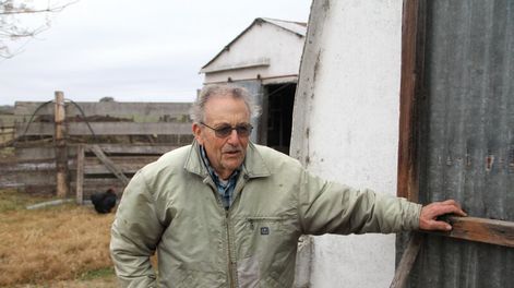 imagen de Decididos a “aguantar el chaparrón”, tamberos familiares rechazan la ración del gobierno y los precios “de ruina”