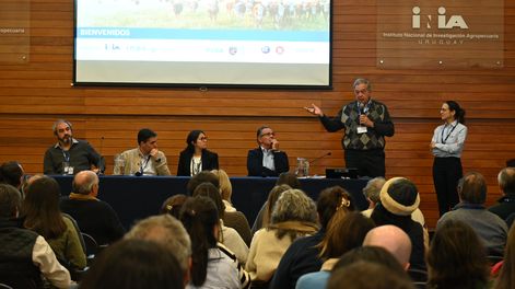 &nbsp;La presentación de la IV Auditoría de calidad de la cadena cárnica del Uruguay se realizó en INIA Tacuarembó