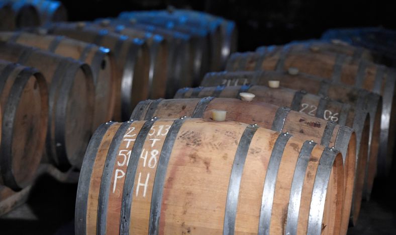 Establecimiento Juanicó